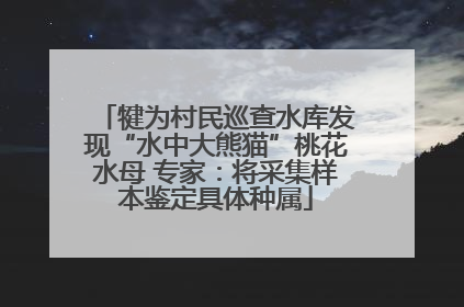 犍为村民巡查水库发现“水中大熊猫”桃花水母 专家：将采集样本鉴定具体种属