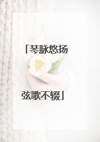 琴脉悠扬 弦歌不辍