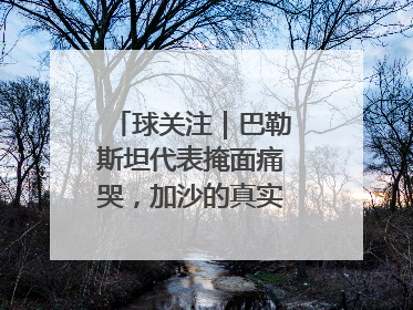 球关注｜巴勒斯坦代表掩面痛哭，加沙的真实现状让人痛心