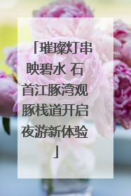 璀璨灯串映碧水 石首江豚湾观豚栈道开启夜游新体验