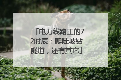 电力线路工的72时辰：爬陡坡钻隧道，还有其它