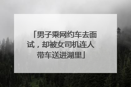 男子乘网约车去面试，却被女司机连人带车送进湖里
