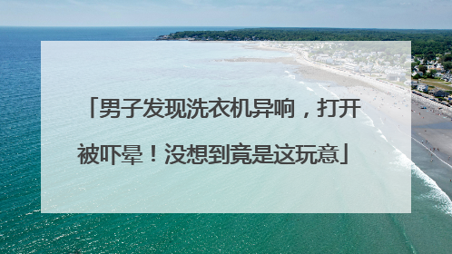 男子发现洗衣机异响，打开被吓晕！没想到竟是这玩意