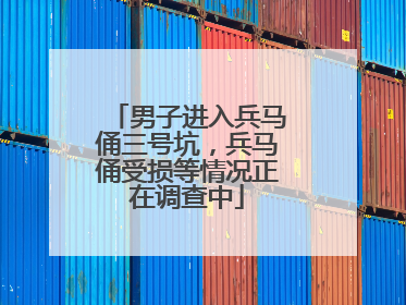 男子进入兵马俑三号坑，兵马俑受损等情况正在调查中