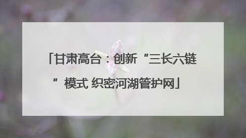 甘肃高台：创新“三长六链”模式 织密河湖管护网