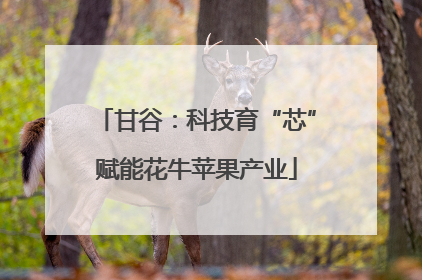 甘谷：科技育“芯”赋能花牛苹果产业