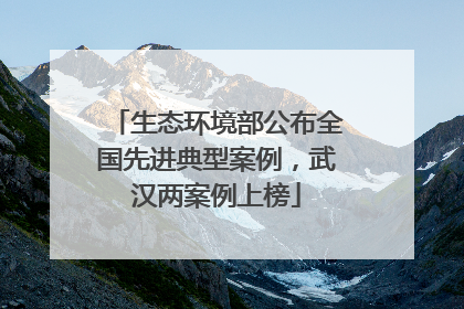 生态环境部公布全国先进典型案例，武汉两案例上榜