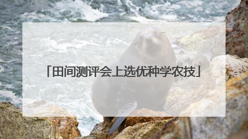 田间测评会上选优种学农技