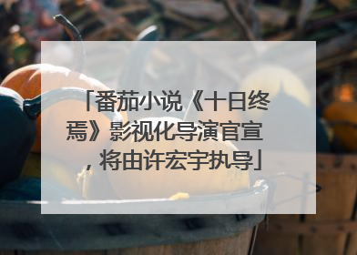 番茄小说《十日终焉》影视化导演官宣，将由许宏宇执导