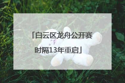 白云区龙舟公开赛时隔13年重启