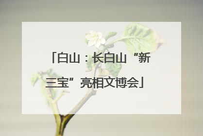 白山：长白山“新三宝”亮相文博会