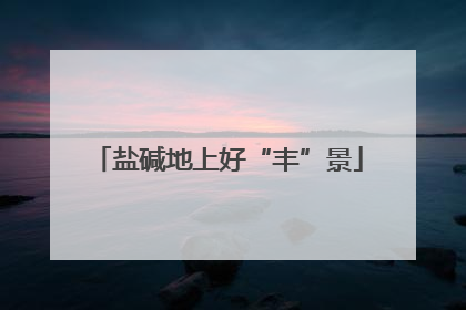 盐碱地上好“丰”景