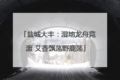 盐城大丰：湿地龙舟竞渡 艾香飘荡野鹿荡