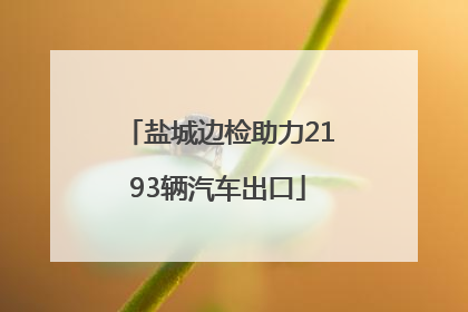 盐城边检助力2193辆汽车出口
