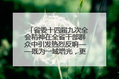 省委十四届九次全会精神在全省干部群众中引发热烈反响——既为一域增光，更为全局添彩