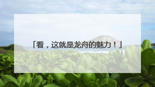 看，这就是龙舟的魅力！