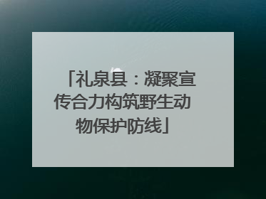 礼泉县：凝聚宣传合力构筑野生动物保护防线
