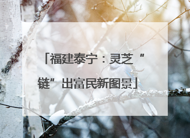 福建泰宁：灵芝“链”出富民新图景