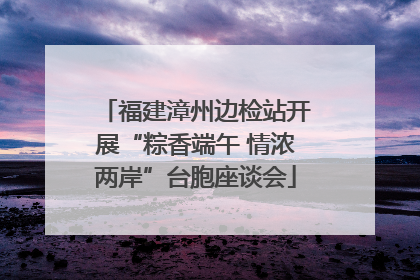 福建漳州边检站开展“粽香端午 情浓两岸”台胞座谈会