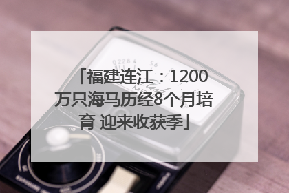 福建连江：1200万只海马历经8个月培育 迎来收获季