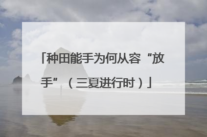 种田能手为何从容“放手”（三夏进行时）