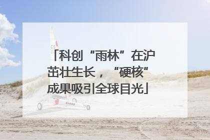 科创“雨林”在沪茁壮生长，“硬核”成果吸引全球目光