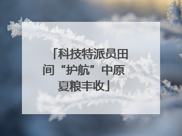 科技特派员田间“护航”中原夏粮丰收