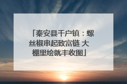 秦安县千户镇：螺丝椒串起致富链 大棚里绘就丰收图
