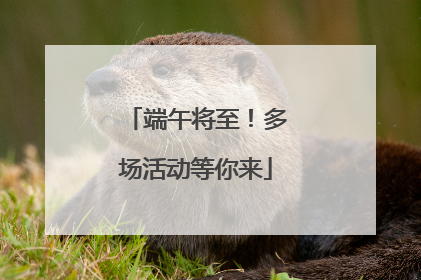 端午将至！多场活动等你来