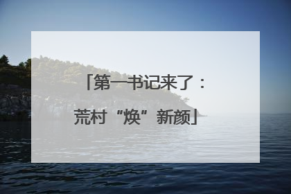 第一书记来了：荒村“焕”新颜