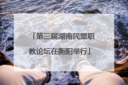 第三届湖南民盟职教论坛在衡阳举行
