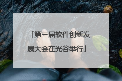 第三届软件创新发展大会在光谷举行