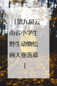 第九届云南省小学生野生动物绘画大赛落幕