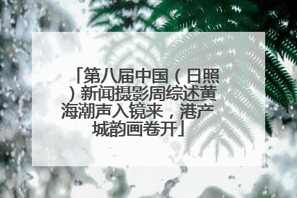 第八届中国（日照）新闻摄影周综述黄海潮声入镜来，港产城韵画卷开