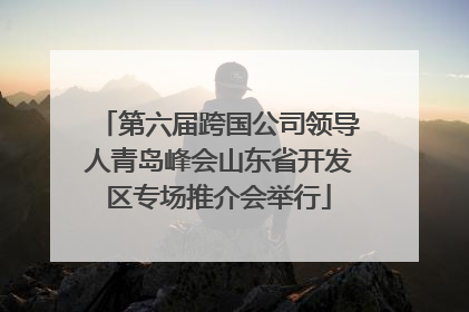 第六届跨国公司领导人青岛峰会山东省开发区专场推介会举行