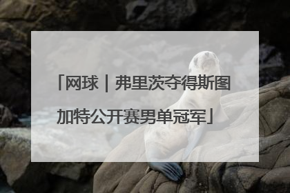 网球｜弗里茨夺得斯图加特公开赛男单冠军