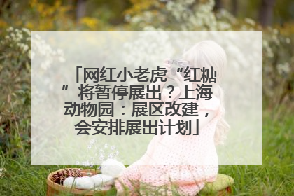 网红小老虎“红糖”将暂停展出？上海动物园：展区改建，会安排展出计划