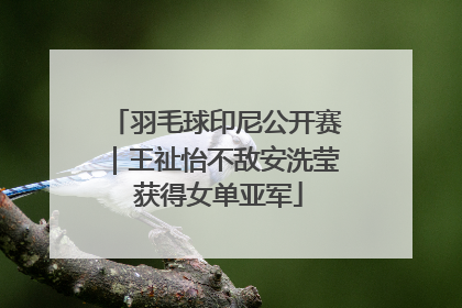 羽毛球印尼公开赛｜王祉怡不敌安洗莹 获得女单亚军