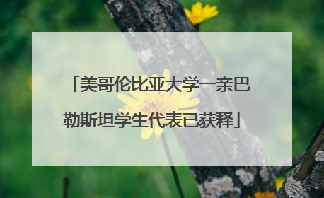 美哥伦比亚大学一亲巴勒斯坦学生代表已获释