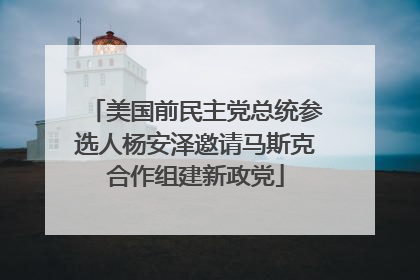 美国前民主党总统参选人杨安泽邀请马斯克合作组建新政党