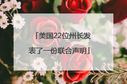 美国22位州长发表了一份联合声明