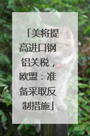 美将提高进口钢铝关税，欧盟：准备采取反制措施