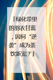 绿化带里的羽衣甘蓝，因何“逆袭”成为茶饮新宠？