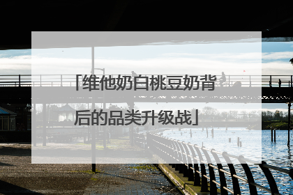维他奶白桃豆奶背后的品类升级战