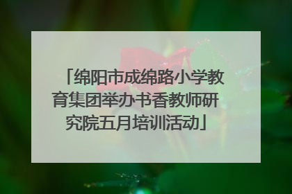 绵阳市成绵路小学教育集团举办书香教师研究院五月培训活动