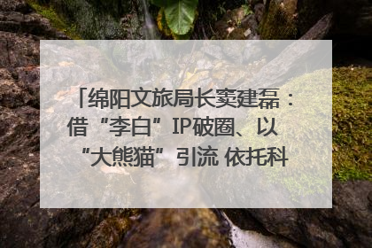 绵阳文旅局长窦建磊：借“李白”IP破圈、以“大熊猫”引流 依托科技优势绽放城市文旅魅力｜文旅局长说