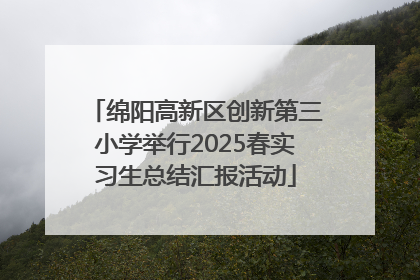 绵阳高新区创新第三小学举行2025春实习生总结汇报活动
