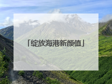 绽放海港新颜值