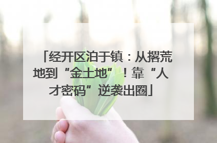 经开区泊于镇：从撂荒地到“金土地”！靠“人才密码”逆袭出圈