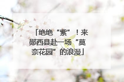 绝绝“紫”！来郧西县赴一场“莫奈花园”的浪漫